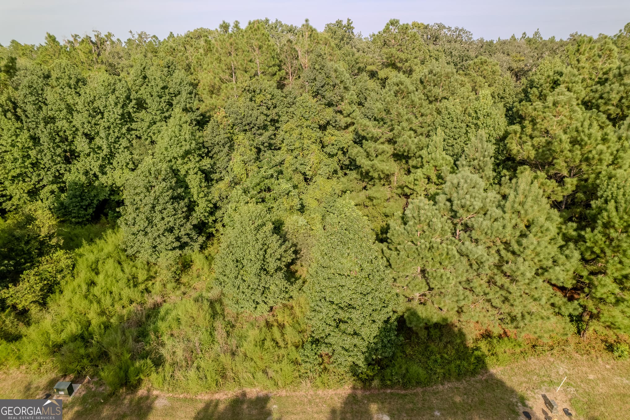 residential lot for sale at LOT 192 Bridge View Lane, Waverly, GA 31565 — photo 5