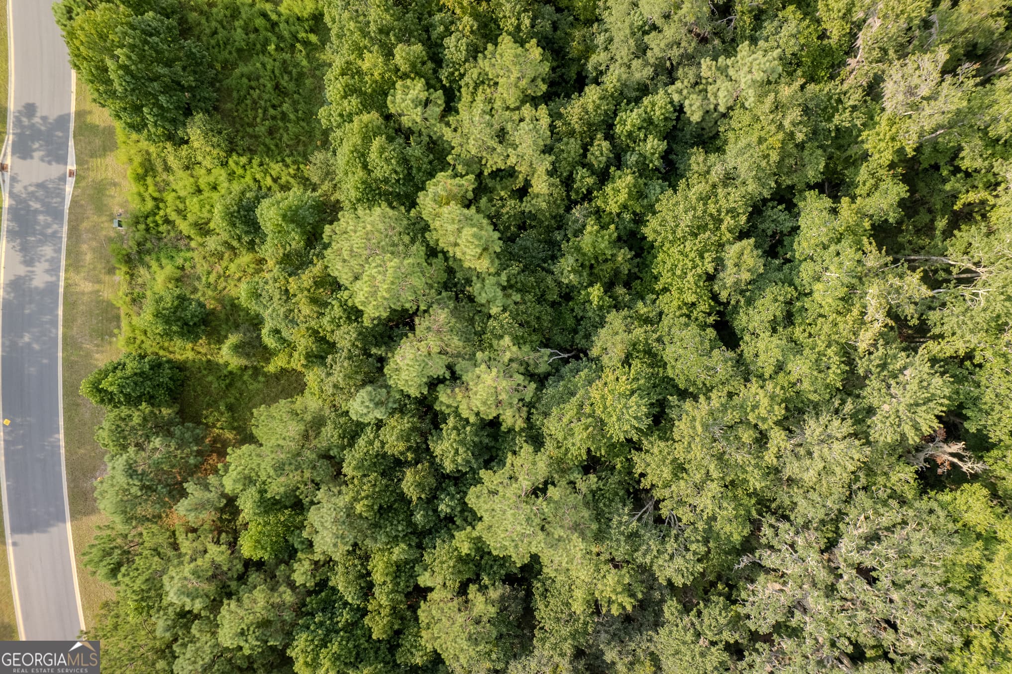 residential lot for sale at LOT 192 Bridge View Lane, Waverly, GA 31565 — photo 9