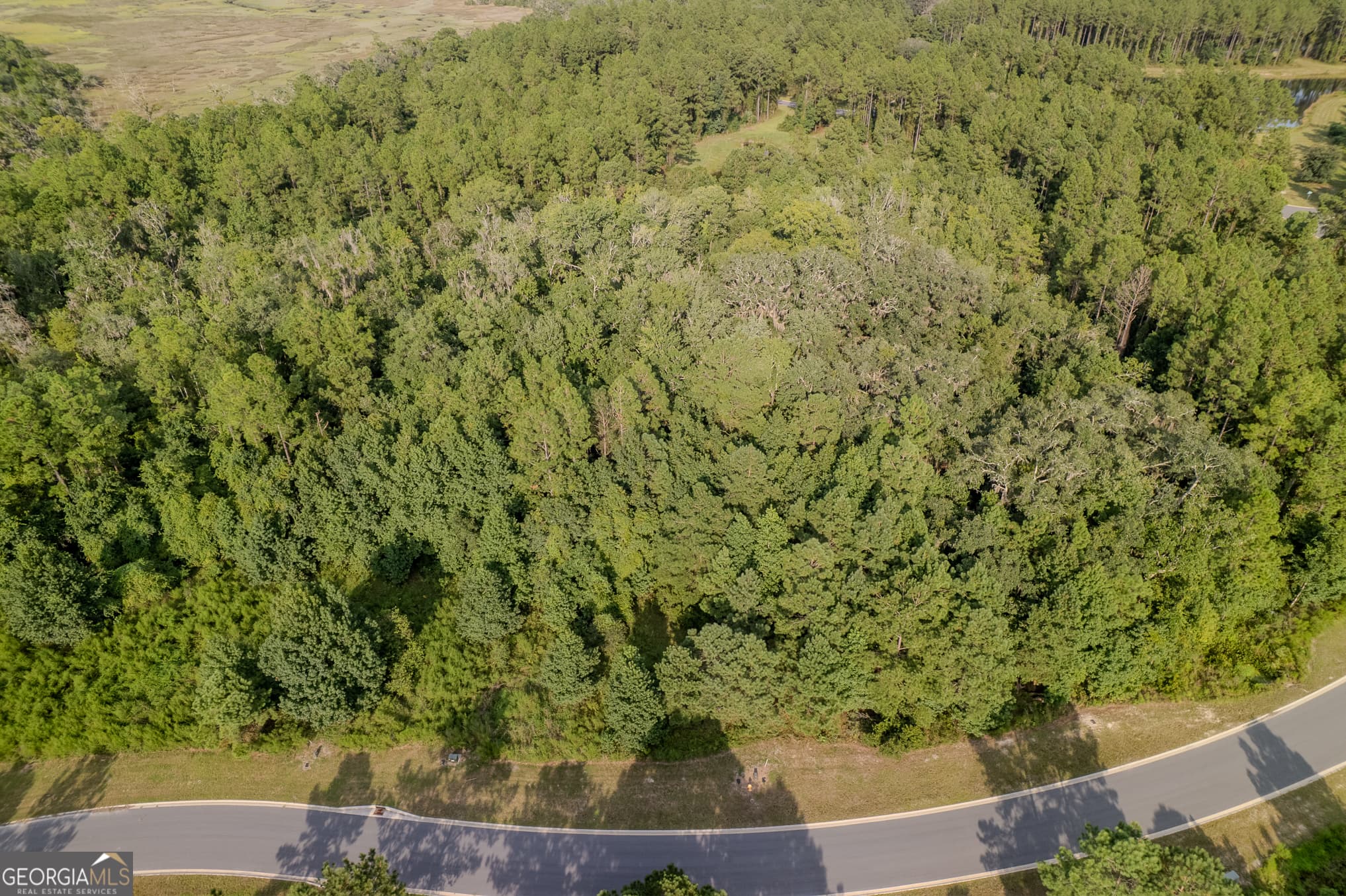 residential lot for sale at LOT 192 Bridge View Lane, Waverly, GA 31565 — photo 10