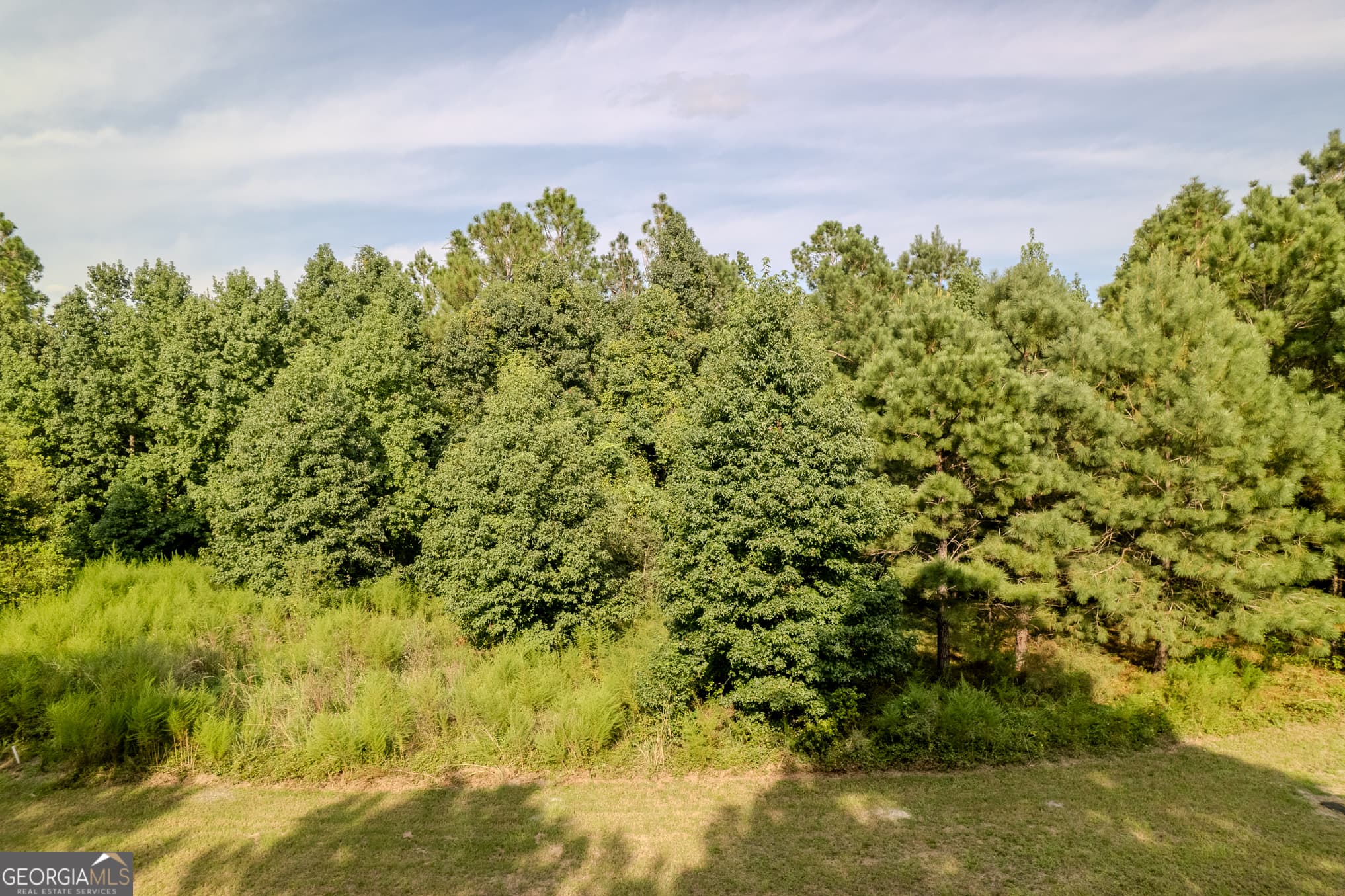 residential lot for sale at LOT 192 Bridge View Lane, Waverly, GA 31565 — photo 4