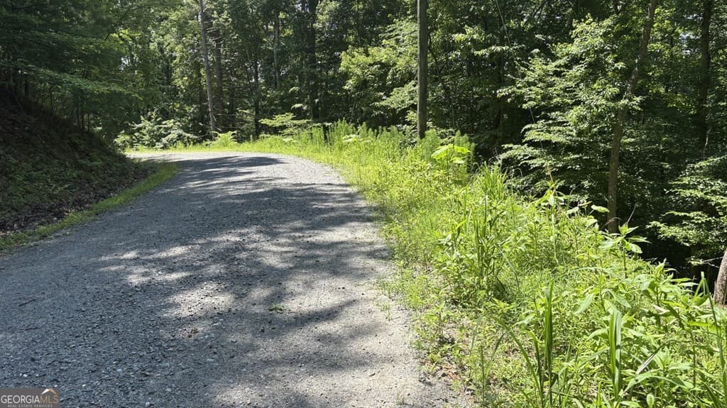 residential lot for sale at LOT 780 Omen Circle, Ellijay, GA 30540 — photo 6