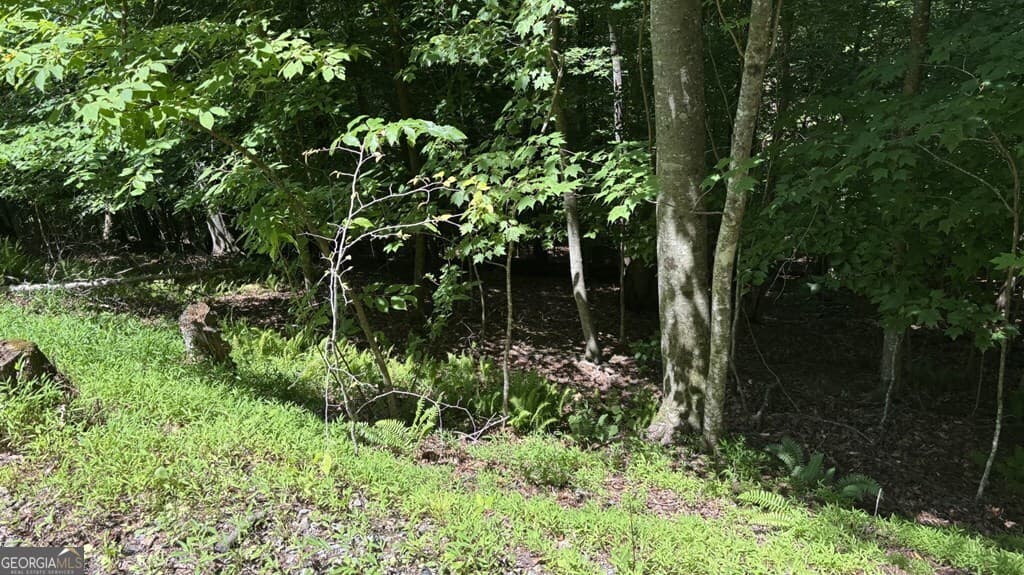 residential lot for sale at LOT 780 Omen Circle, Ellijay, GA 30540 — photo 3