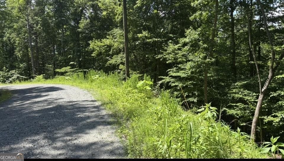 residential lot for sale at LOT 780 Omen Circle, Ellijay, GA 30540 — photo 1 of 9