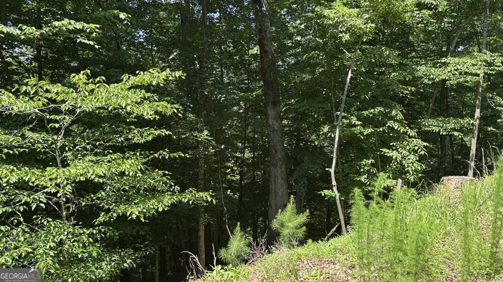 residential lot for sale at LOT 780 Omen Circle, Ellijay, GA 30540 — photo 5
