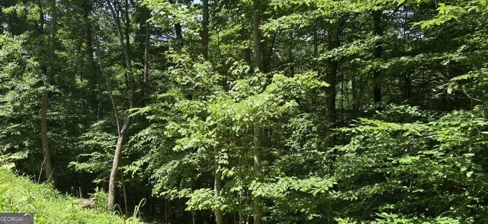 residential lot for sale at LOT 780 Omen Circle, Ellijay, GA 30540 — photo 4