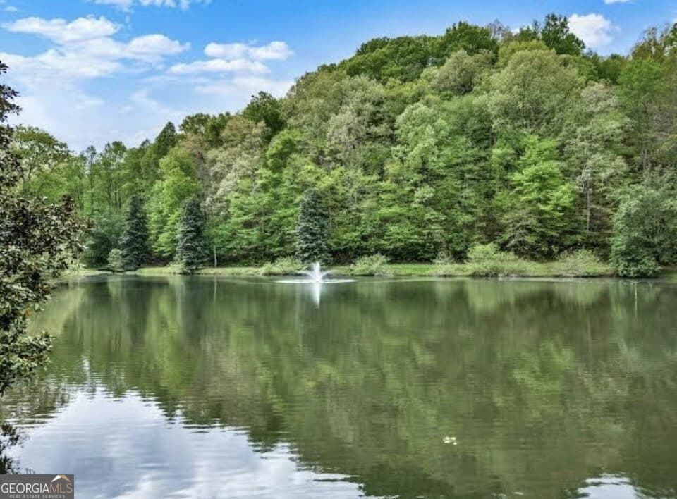 residential lot for sale at LOT 780 Omen Circle, Ellijay, GA 30540 — photo 8