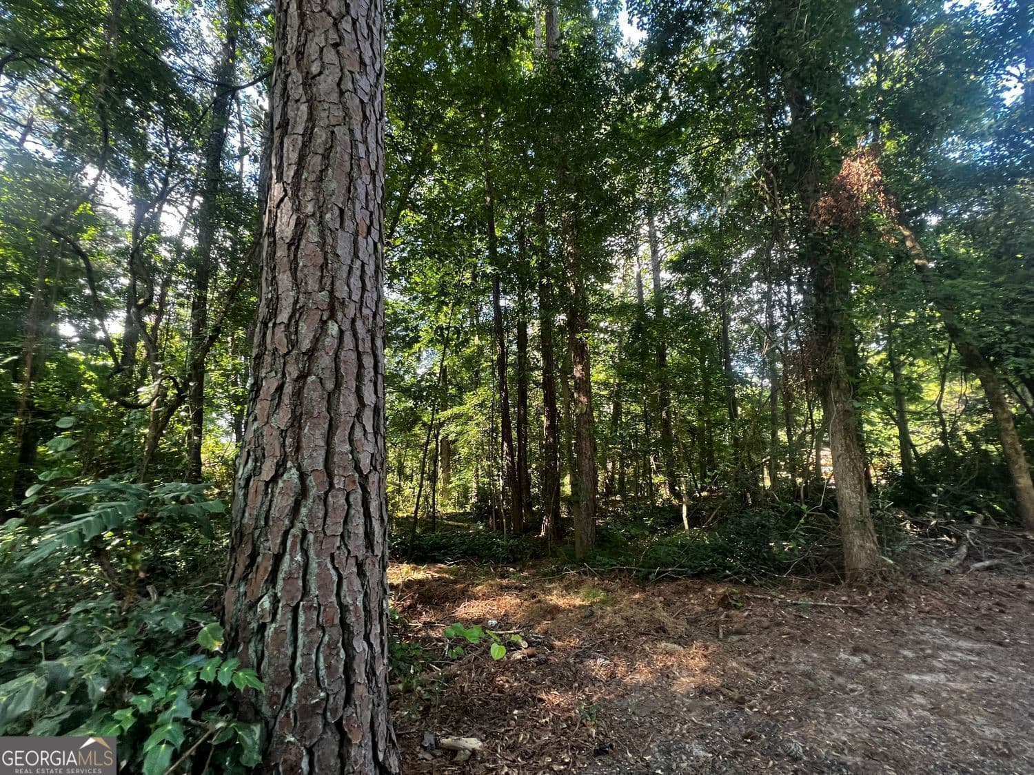 unimproved land for sale at 4074 Panola Road, Stonecrest, GA 30038 — photo 2