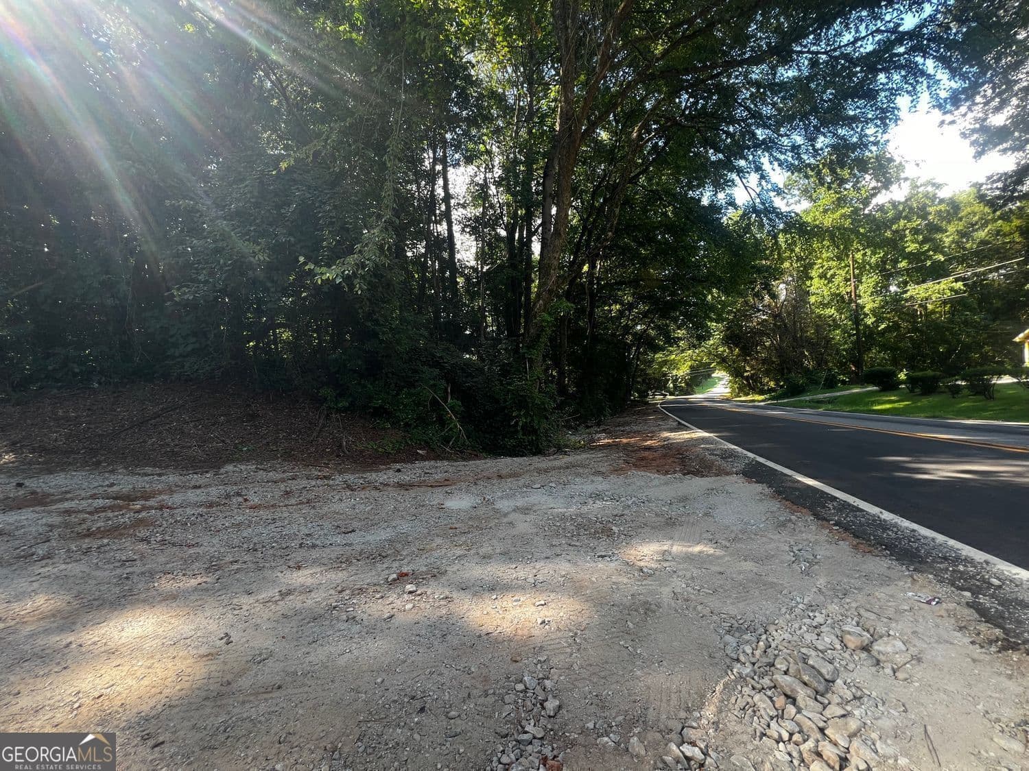 unimproved land for sale at 4074 Panola Road, Stonecrest, GA 30038 — photo 6