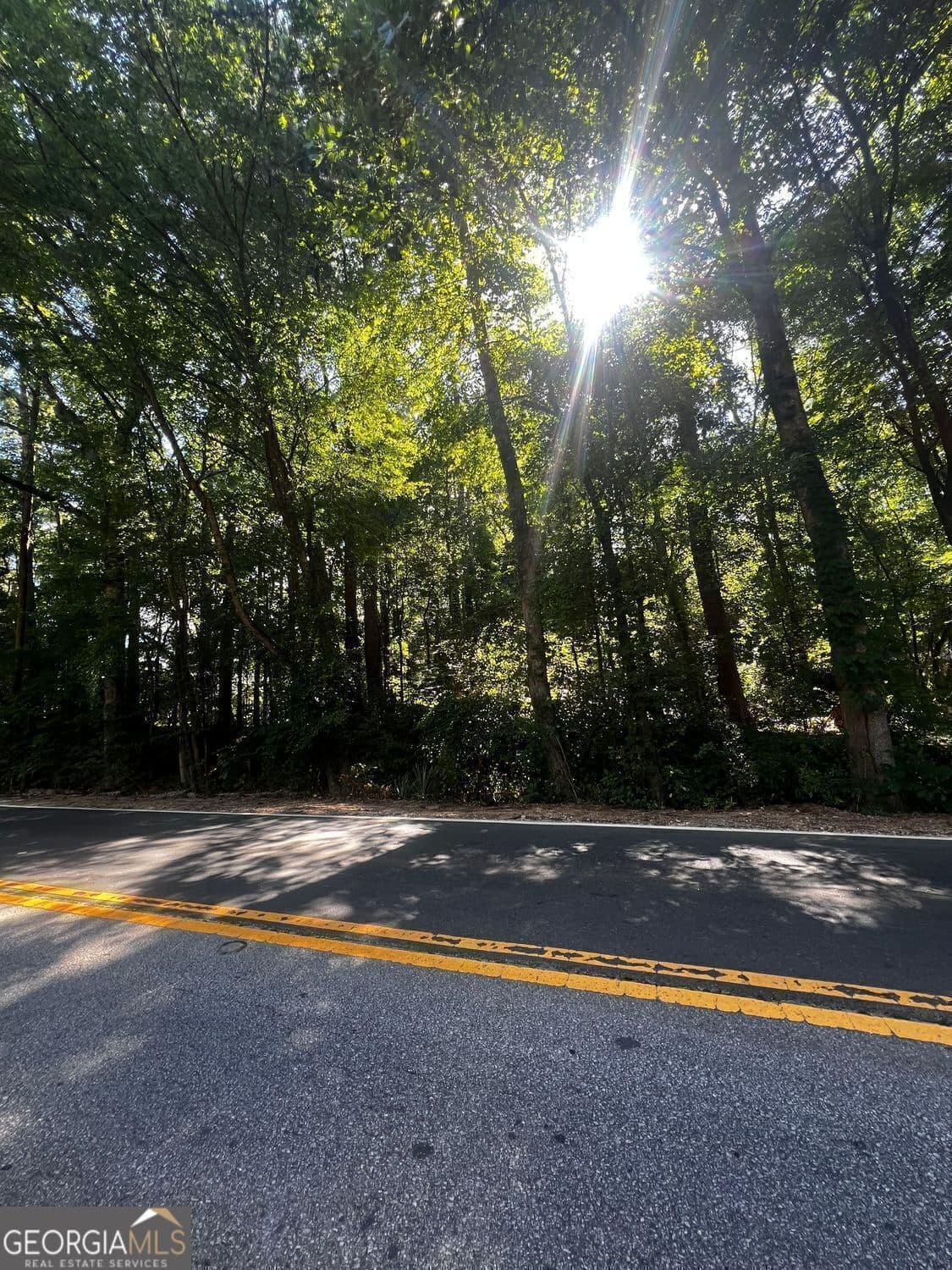 unimproved land for sale at 4074 Panola Road, Stonecrest, GA 30038 — photo 7