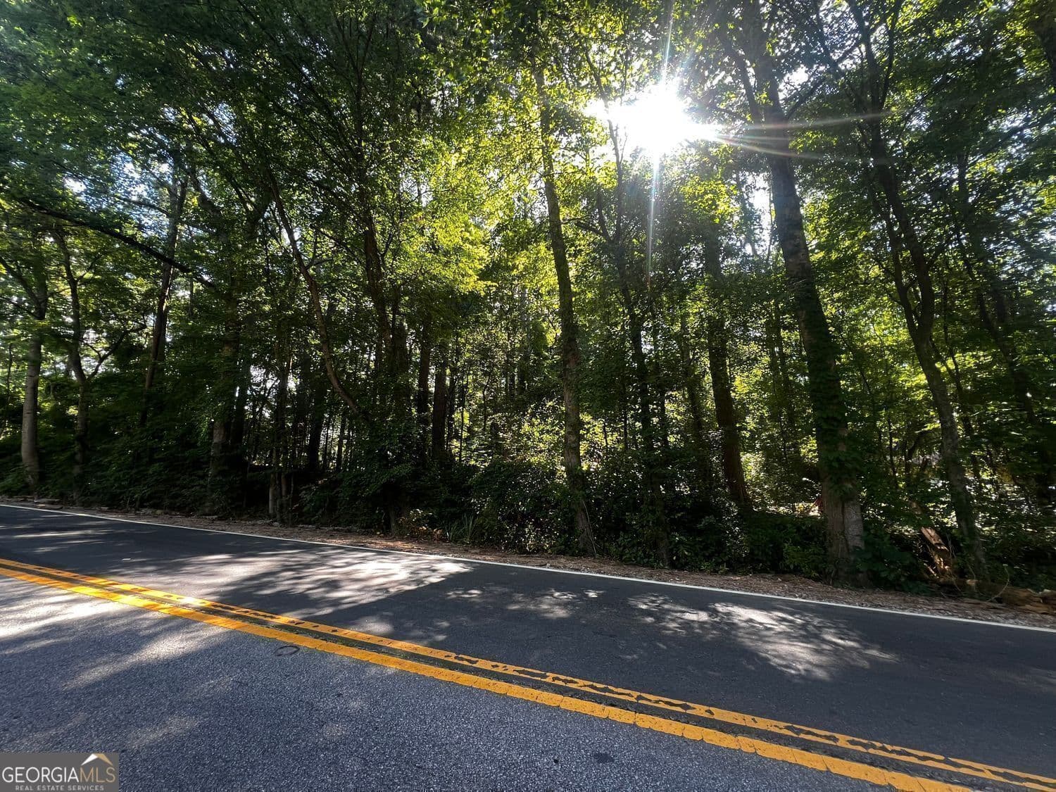 unimproved land for sale at 4074 Panola Road, Stonecrest, GA 30038 — photo 1 of 7