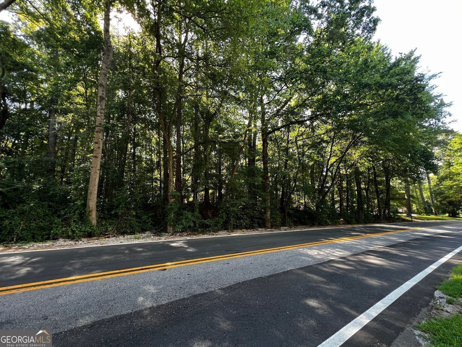 unimproved land for sale at 4074 Panola Road, Stonecrest, GA 30038 — photo 5