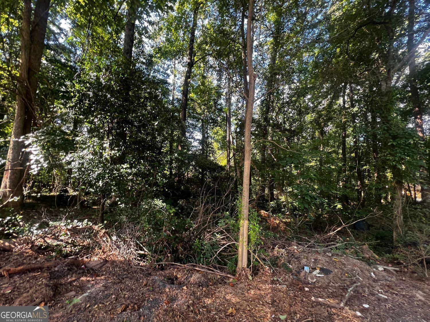 unimproved land for sale at 4074 Panola Road, Stonecrest, GA 30038 — photo 4