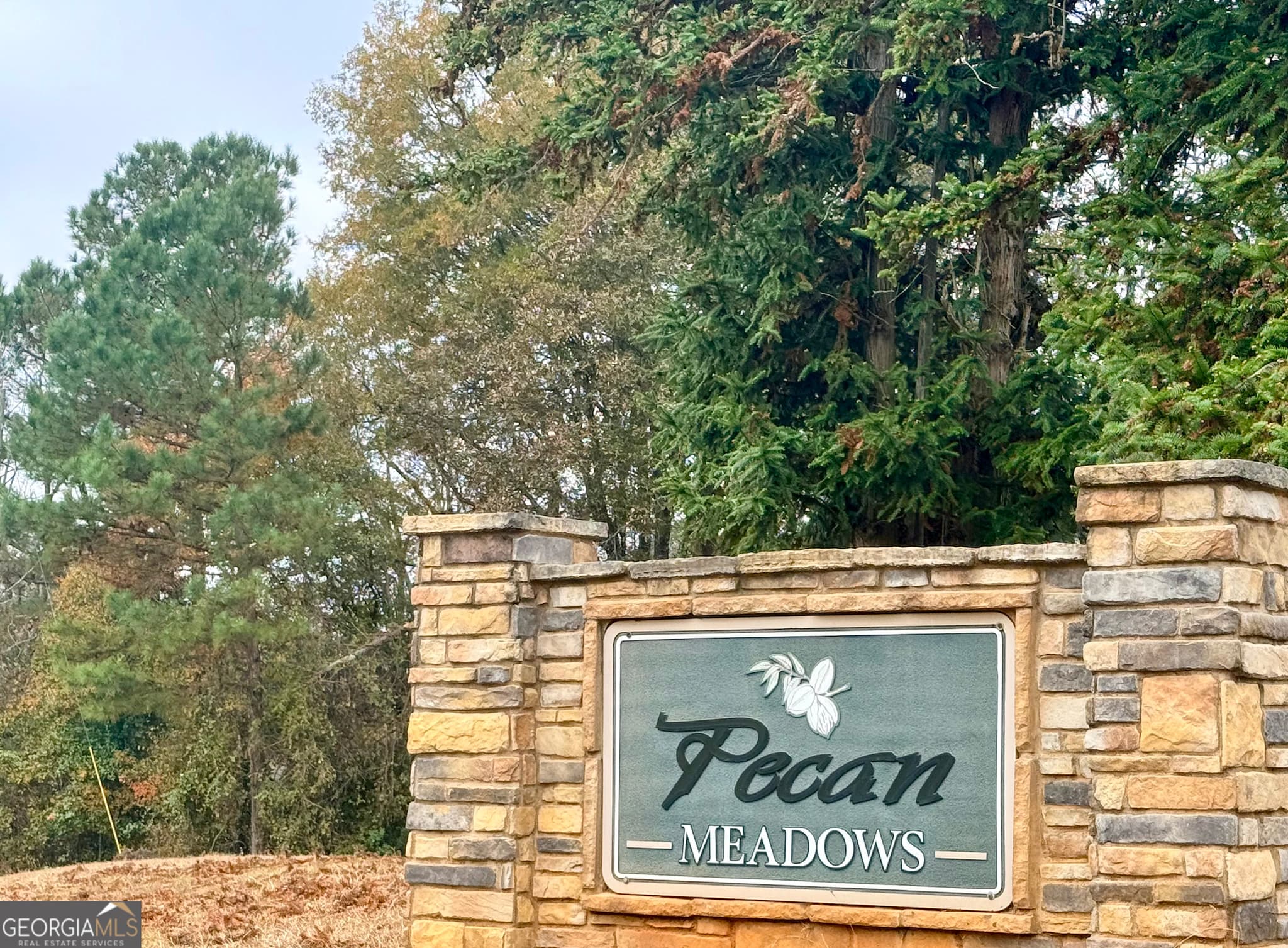 residential lot for sale at LOT 21 Rolling Meadows Way, Waverly Hall, GA 31831 — photo 2