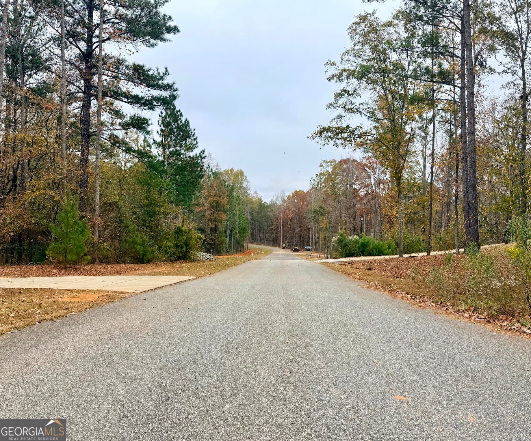 residential lot for sale at LOT 21 Rolling Meadows Way, Waverly Hall, GA 31831 — photo 4