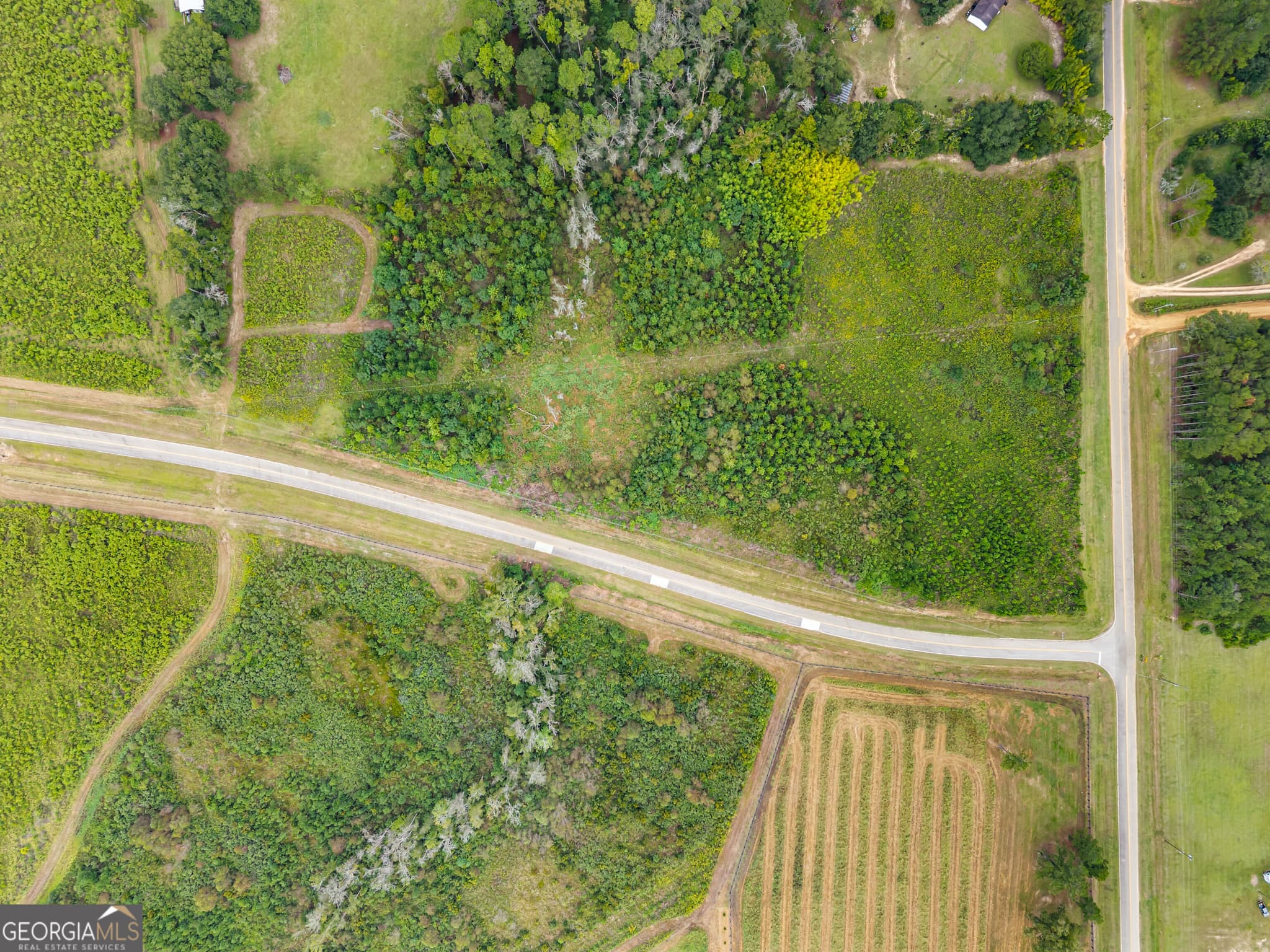 estate lot for sale at 0 G W Oliver Road LOT 1, Statesboro, GA 30458 — photo 3