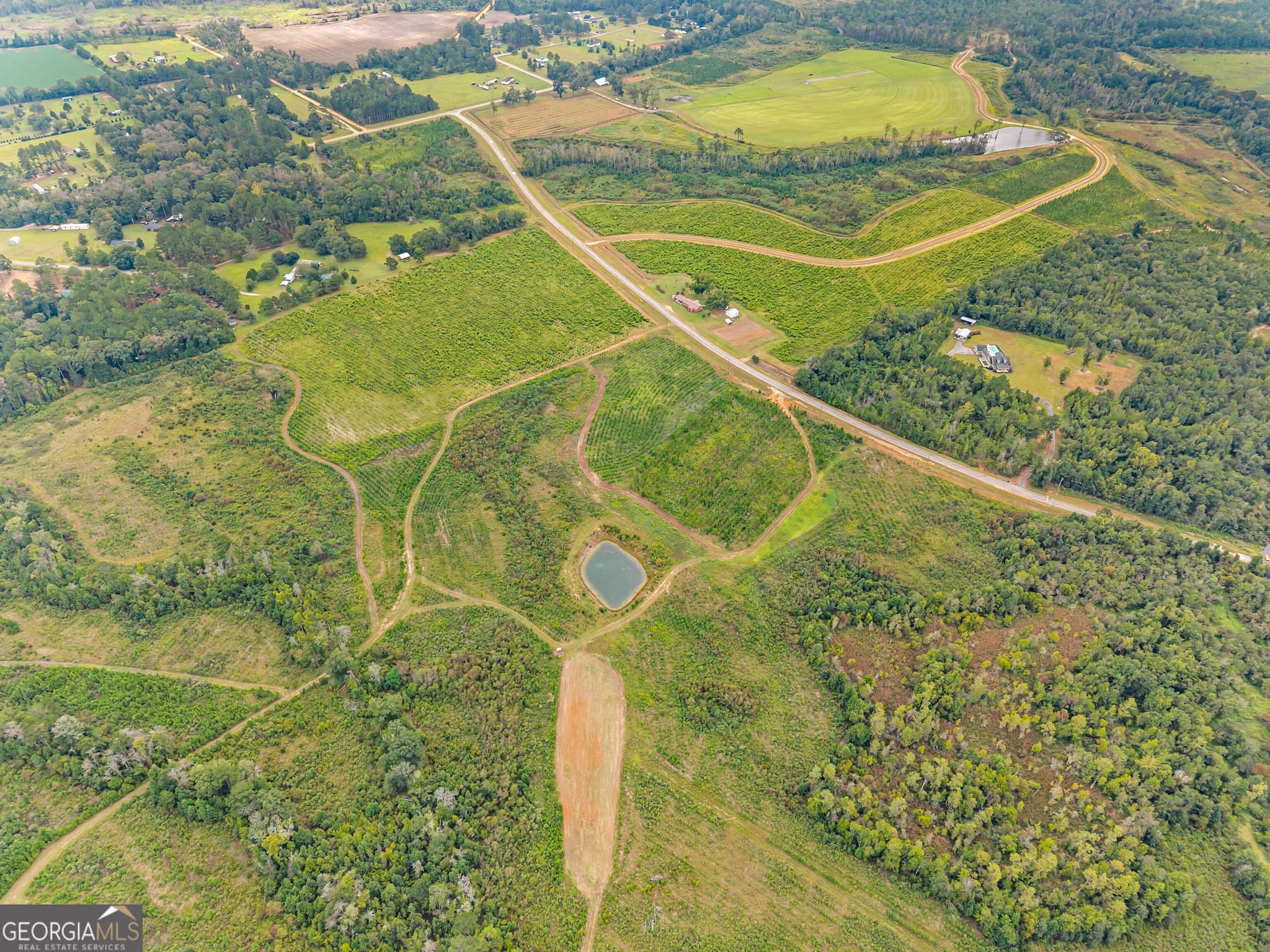 estate lot for sale at 0 G W Oliver Road LOT 1, Statesboro, GA 30458 — photo 5
