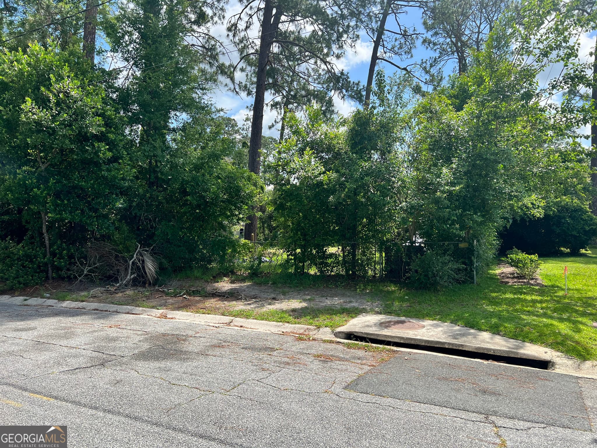 residential lot for sale at 0 St Mary's Avenue (TRACT 2 0.25 ACRES), Waycross, GA 31501 — photo 2