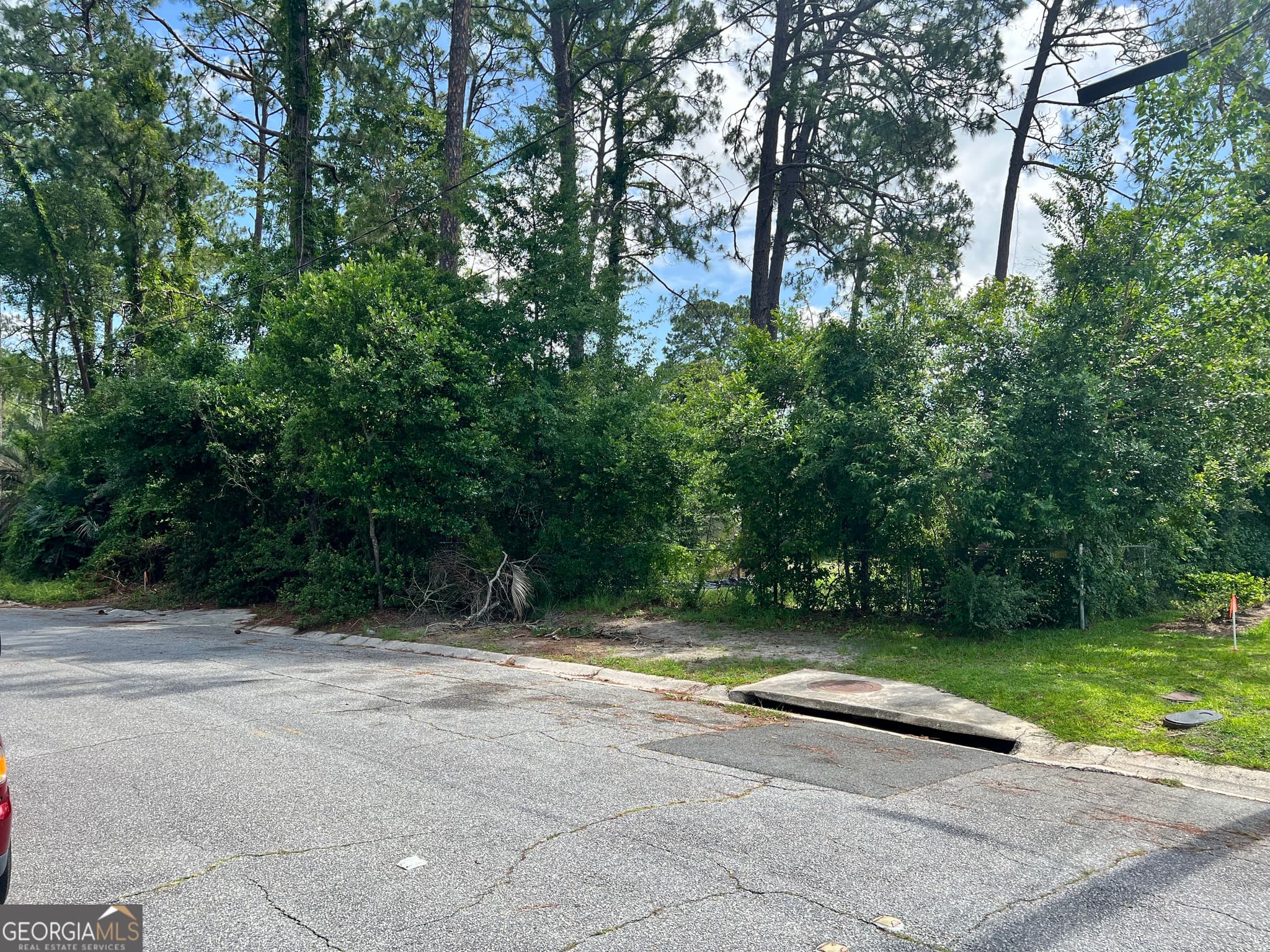 residential lot for sale at 0 St Mary's Avenue (TRACT 2 0.25 ACRES), Waycross, GA 31501 — photo 3