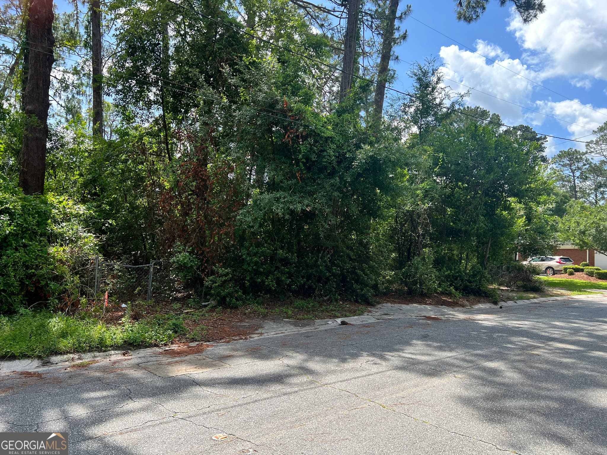 residential lot for sale at 0 St Mary's Avenue (TRACT 2 0.25 ACRES), Waycross, GA 31501 — photo 4