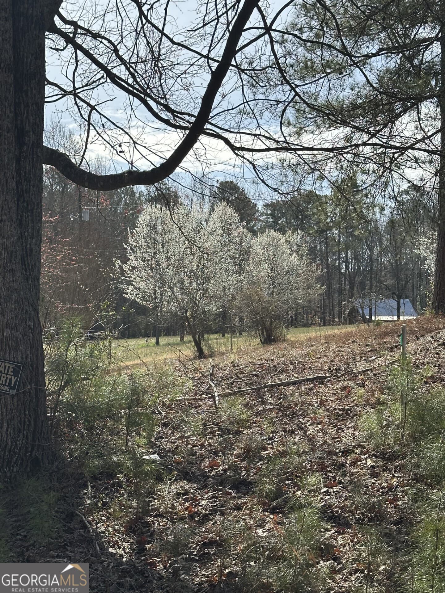 4 bedroom, 3 bathroom, 4,188 sq ft single family residence for sale at 5565 Hog Mountain Road, Flowery Branch, GA 30542 — photo 5