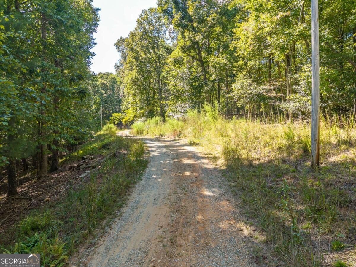 residential lot for sale at LT 27/28 Donna Lee Lane 27/28, Mineral Bluff, GA 30559 — photo 6