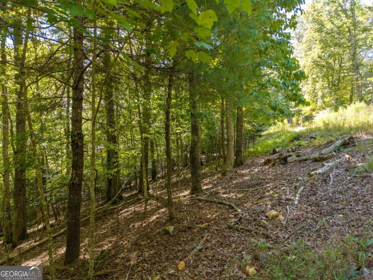residential lot for sale at LT 27/28 Donna Lee Lane 27/28, Mineral Bluff, GA 30559 — photo 7