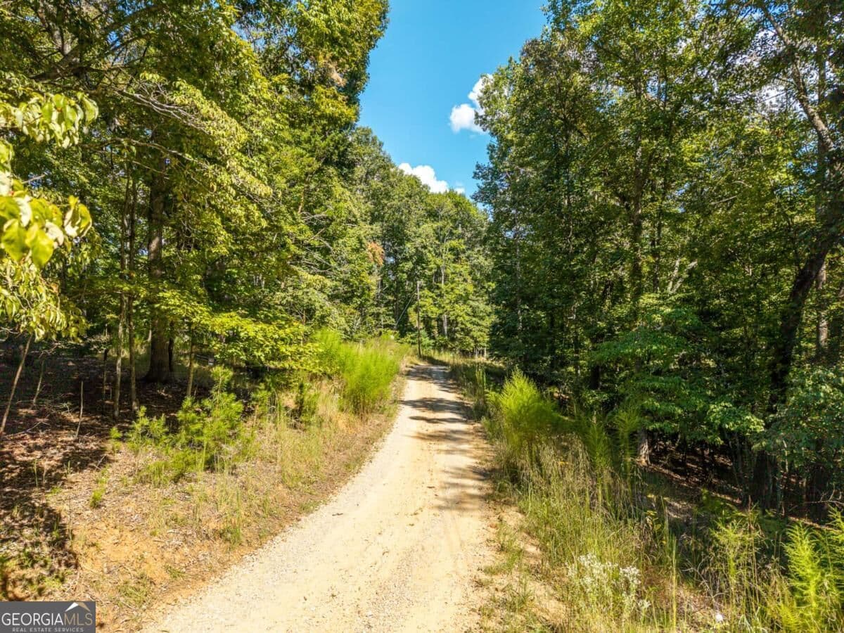 residential lot for sale at LT 27/28 Donna Lee Lane 27/28, Mineral Bluff, GA 30559 — photo 3