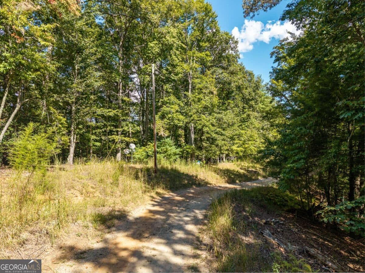 residential lot for sale at LT 27/28 Donna Lee Lane 27/28, Mineral Bluff, GA 30559 — photo 5