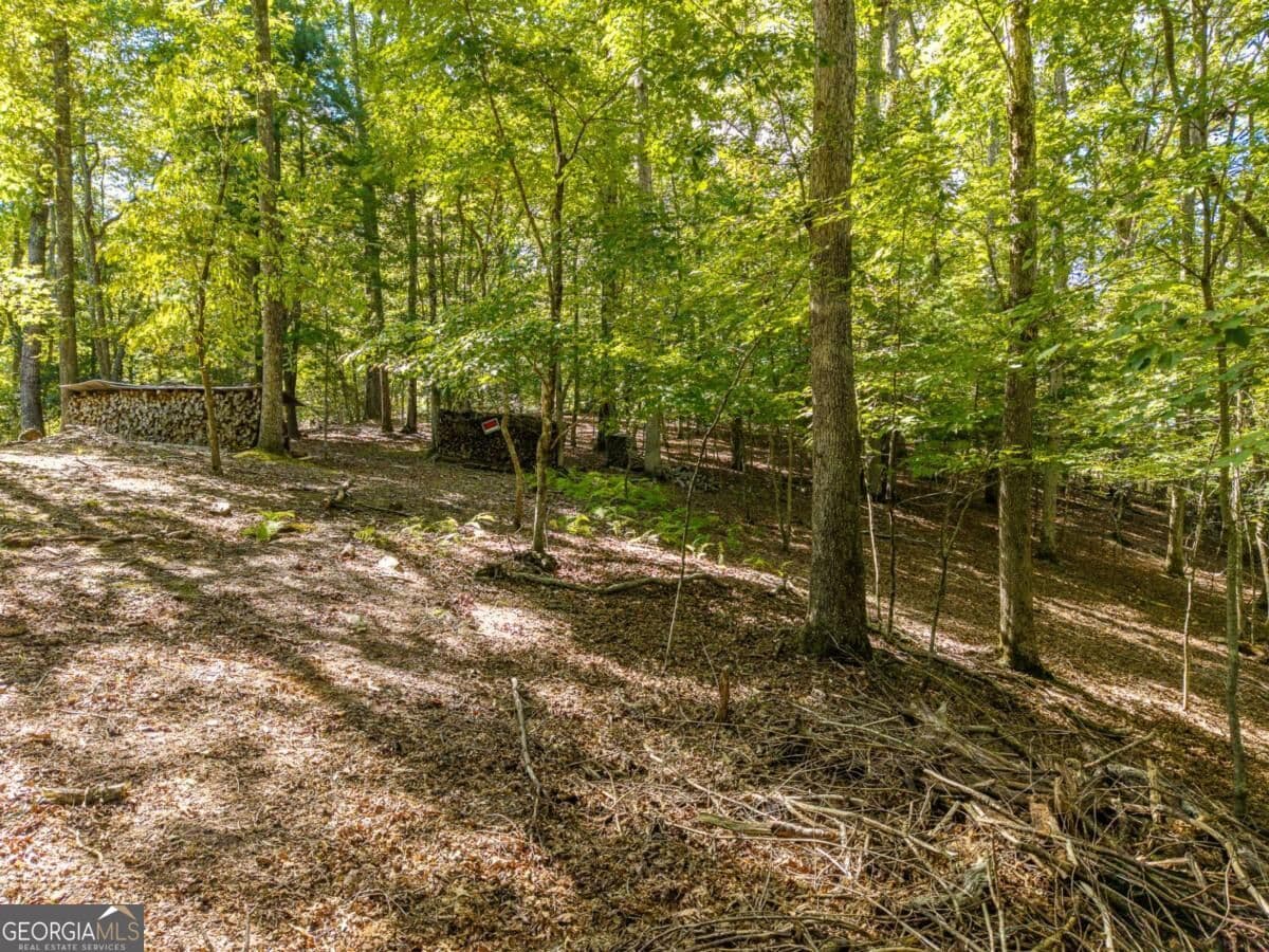 residential lot for sale at LT 27/28 Donna Lee Lane 27/28, Mineral Bluff, GA 30559 — photo 9