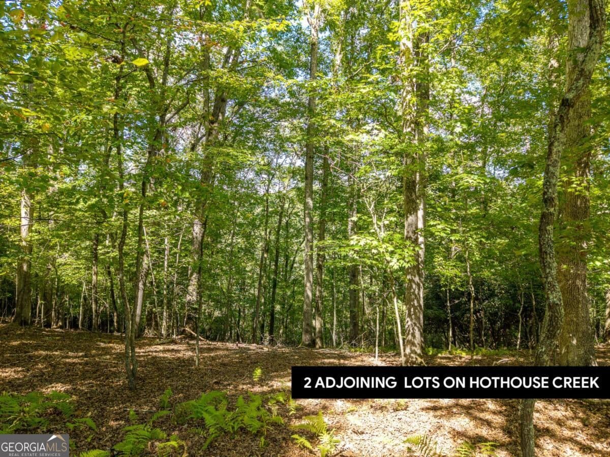 residential lot for sale at LT 27/28 Donna Lee Lane 27/28, Mineral Bluff, GA 30559 — photo 10
