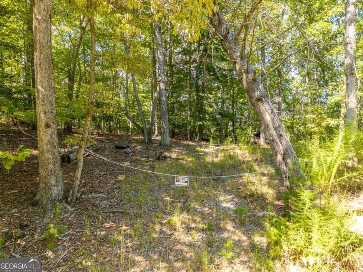residential lot for sale at LT 27/28 Donna Lee Lane 27/28, Mineral Bluff, GA 30559 — photo 4