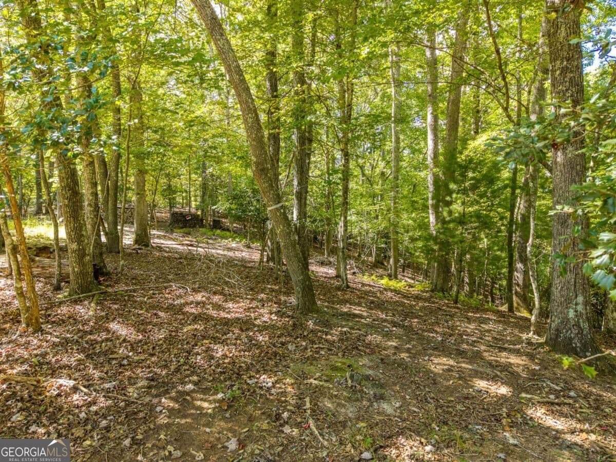 residential lot for sale at LT 27/28 Donna Lee Lane 27/28, Mineral Bluff, GA 30559 — photo 8