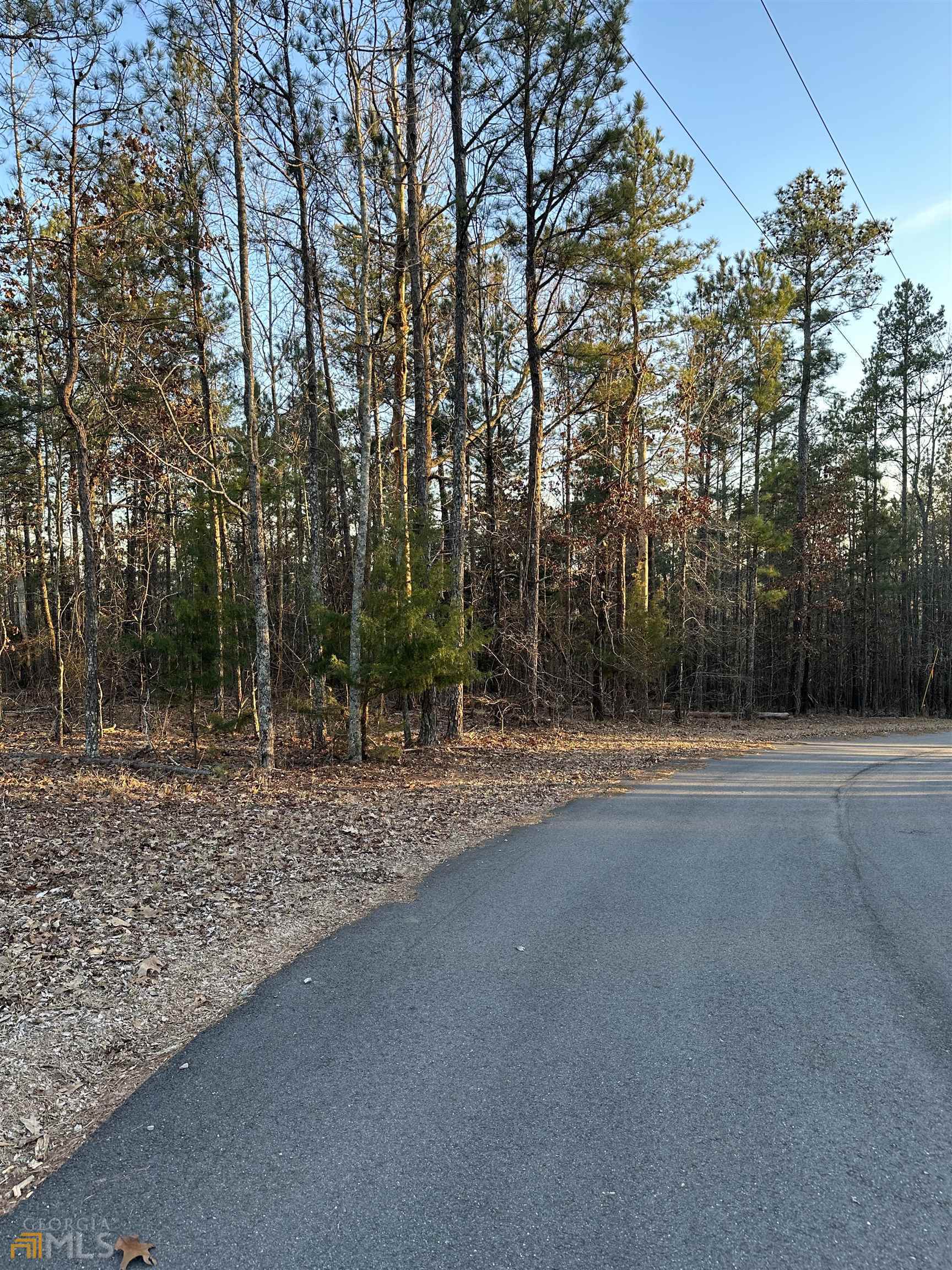 residential lot for sale at LOT 1 & LOT 15 Mountain Ridge Drive, Waverly Hall, GA 31831 — photo 6