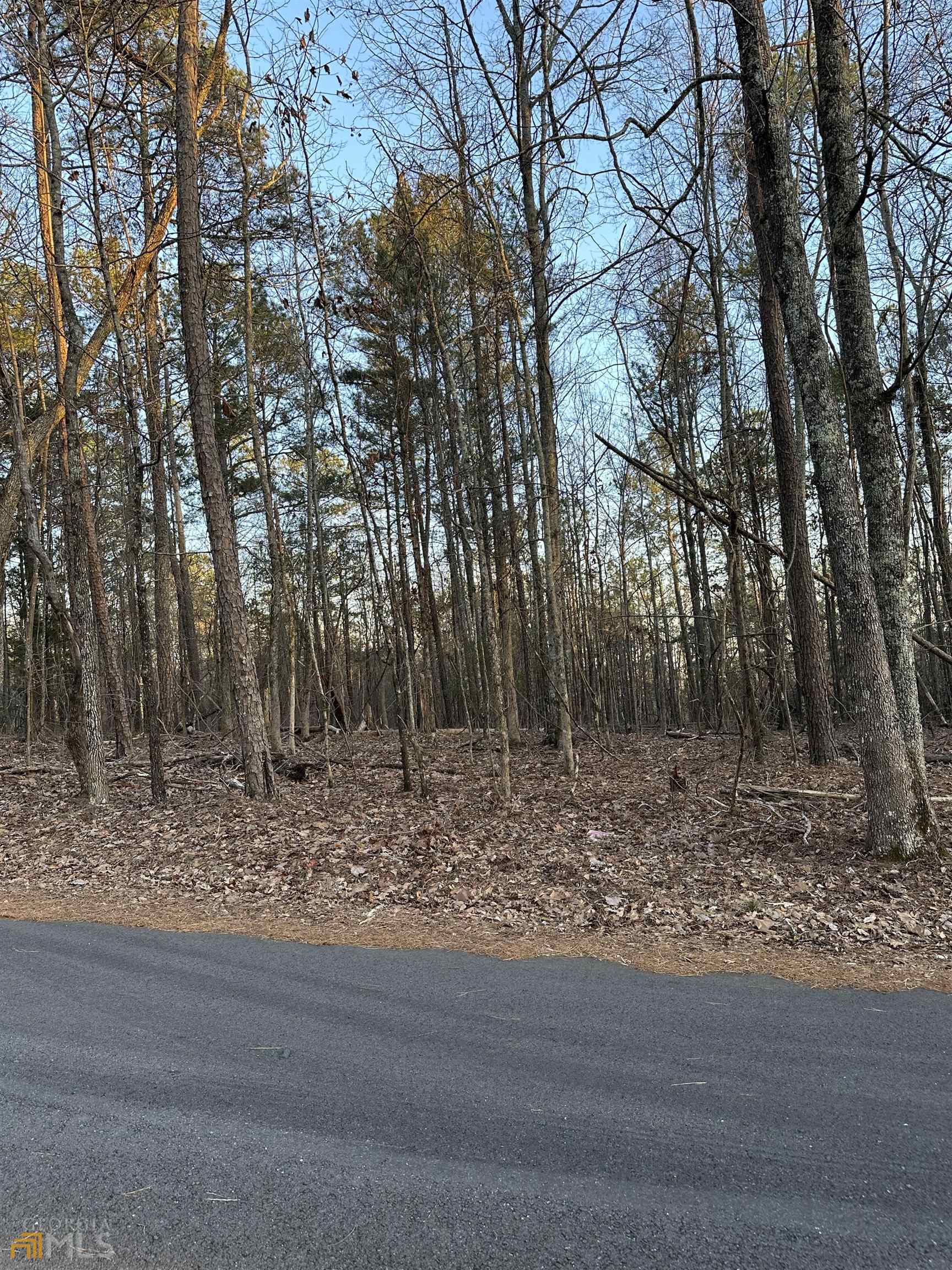 residential lot for sale at LOT 1 & LOT 15 Mountain Ridge Drive, Waverly Hall, GA 31831 — photo 5