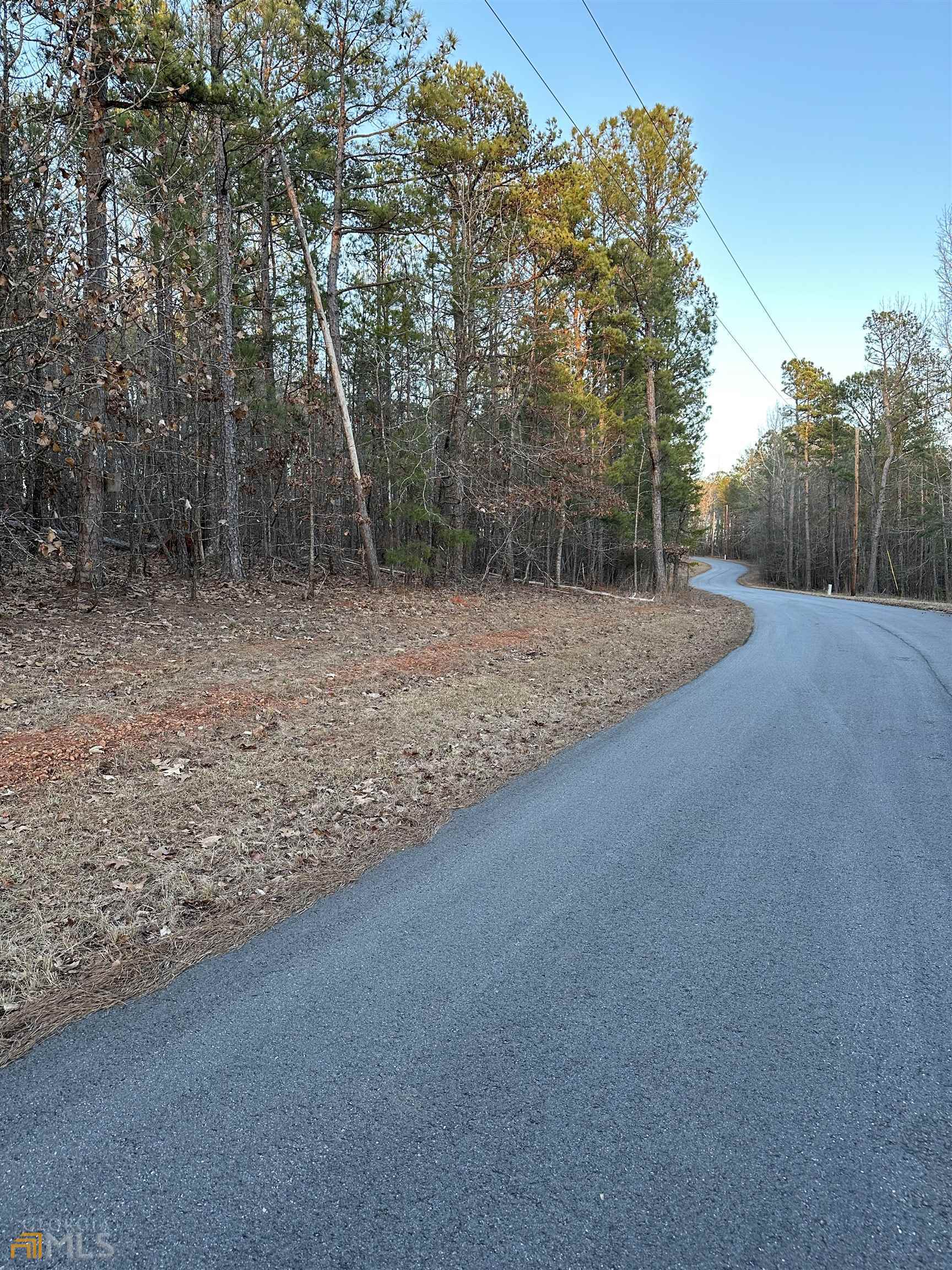 residential lot for sale at LOT 1 & LOT 15 Mountain Ridge Drive, Waverly Hall, GA 31831 — photo 4