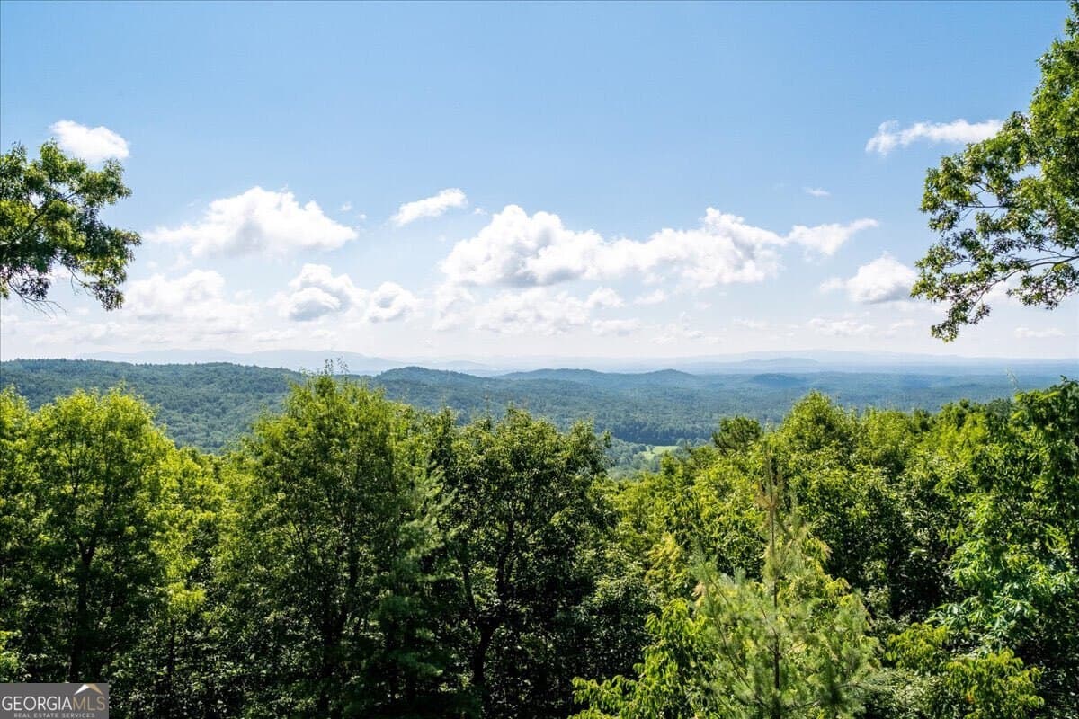5 bedroom, 6 bathroom, 4,702 sq ft single family residence for sale at 207 Utana Bluffs Trail, Ellijay, GA 30540 — photo 3