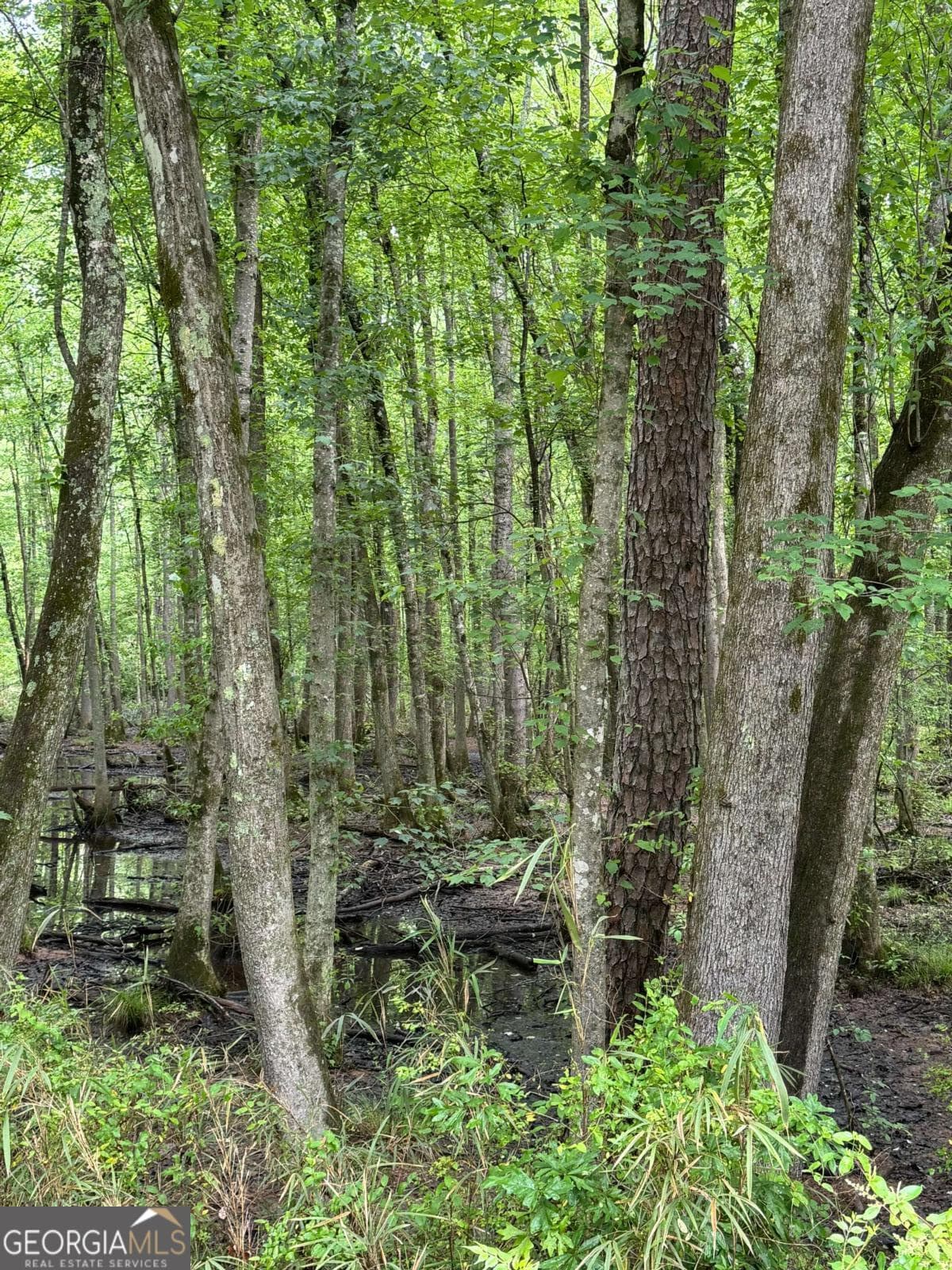 unimproved land for sale at 0 Friendship Church Road, Marietta, GA 30064 — photo 2