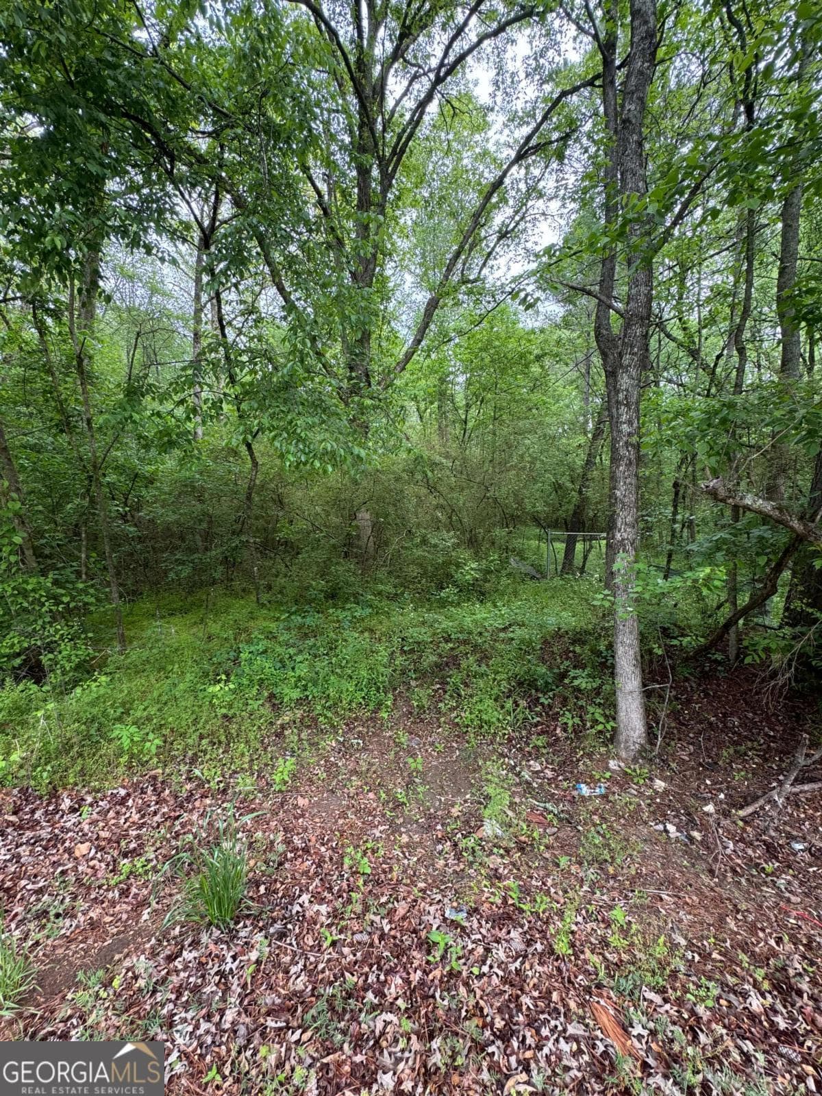 unimproved land for sale at 0 Friendship Church Road, Marietta, GA 30064 — photo 6