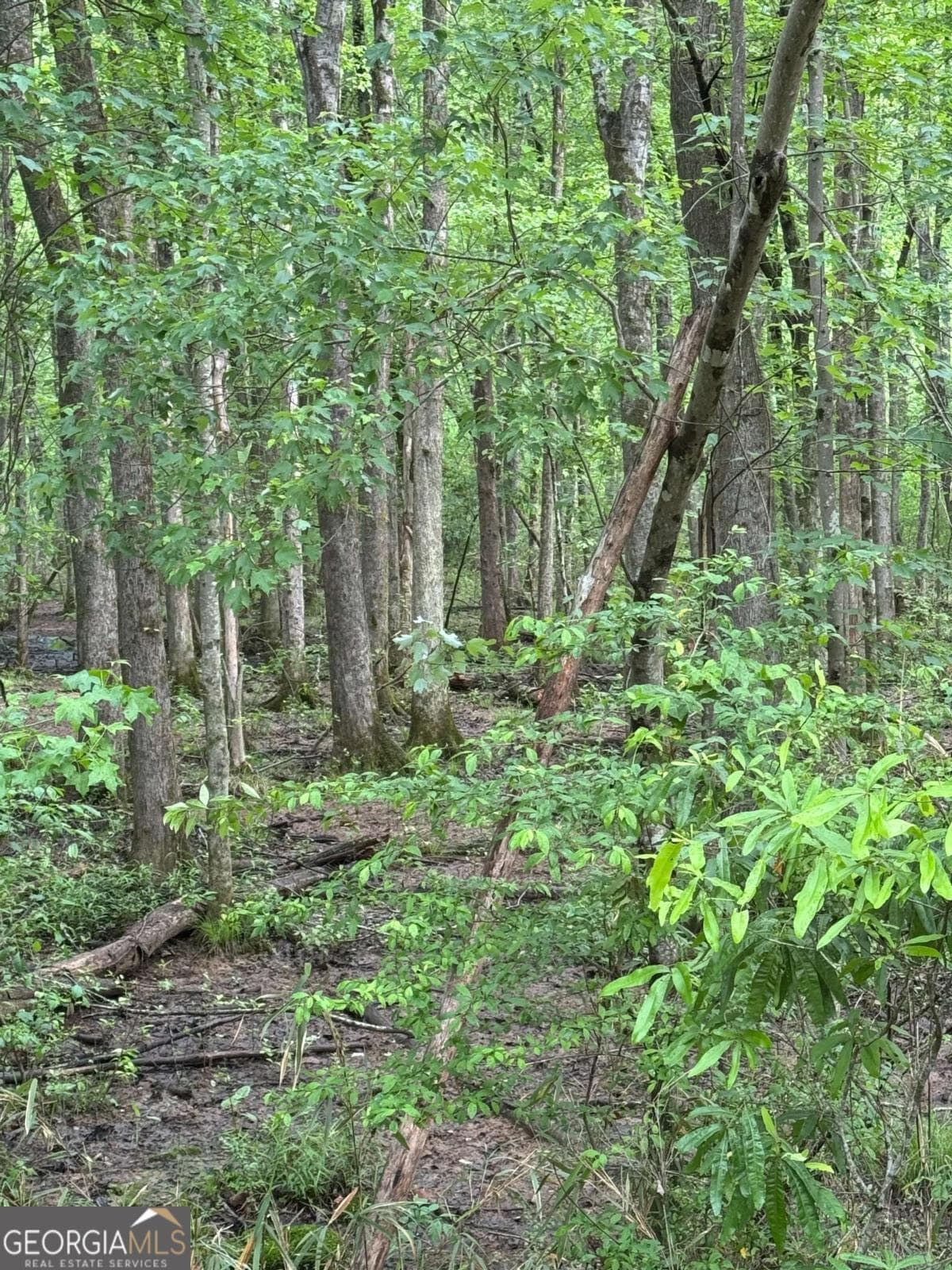 unimproved land for sale at 0 Friendship Church Road, Marietta, GA 30064 — photo 3