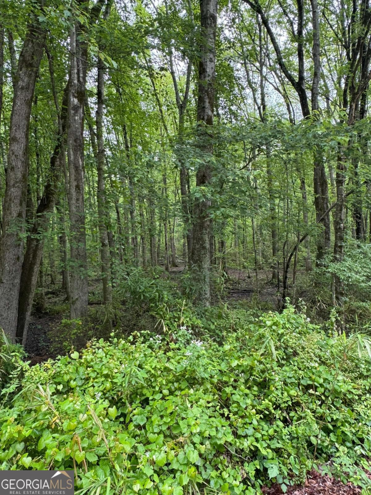 unimproved land for sale at 0 Friendship Church Road, Marietta, GA 30064 — photo 1 of 8
