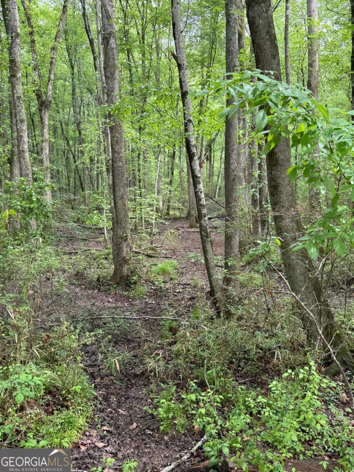 unimproved land for sale at 0 Friendship Church Road, Marietta, GA 30064 — photo 5