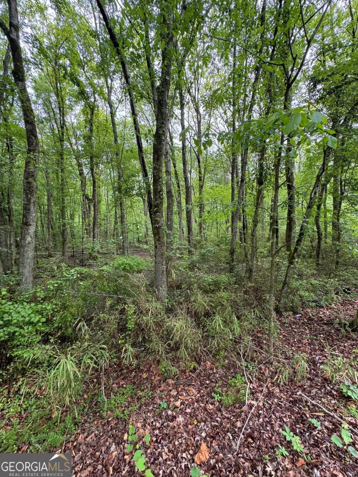 unimproved land for sale at 0 Friendship Church Road, Marietta, GA 30064 — photo 4