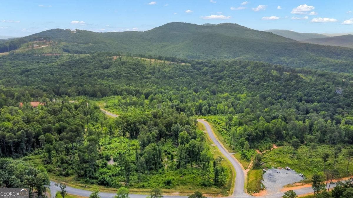 residential lot for sale at LOT 128 Twisted Oak Road, Talking Rock, GA 30175 — photo 2