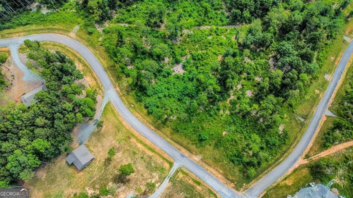 residential lot for sale at LOT 128 Twisted Oak Road, Talking Rock, GA 30175 — photo 3
