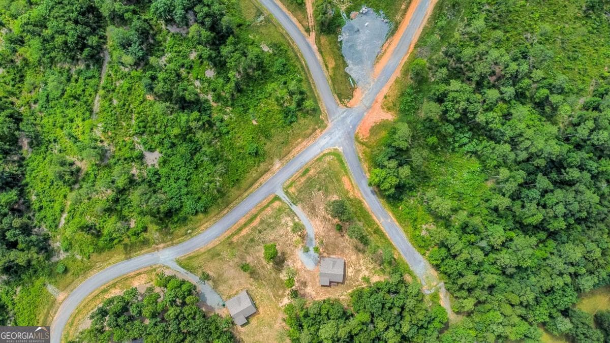 residential lot for sale at LOT 128 Twisted Oak Road, Talking Rock, GA 30175 — photo 5