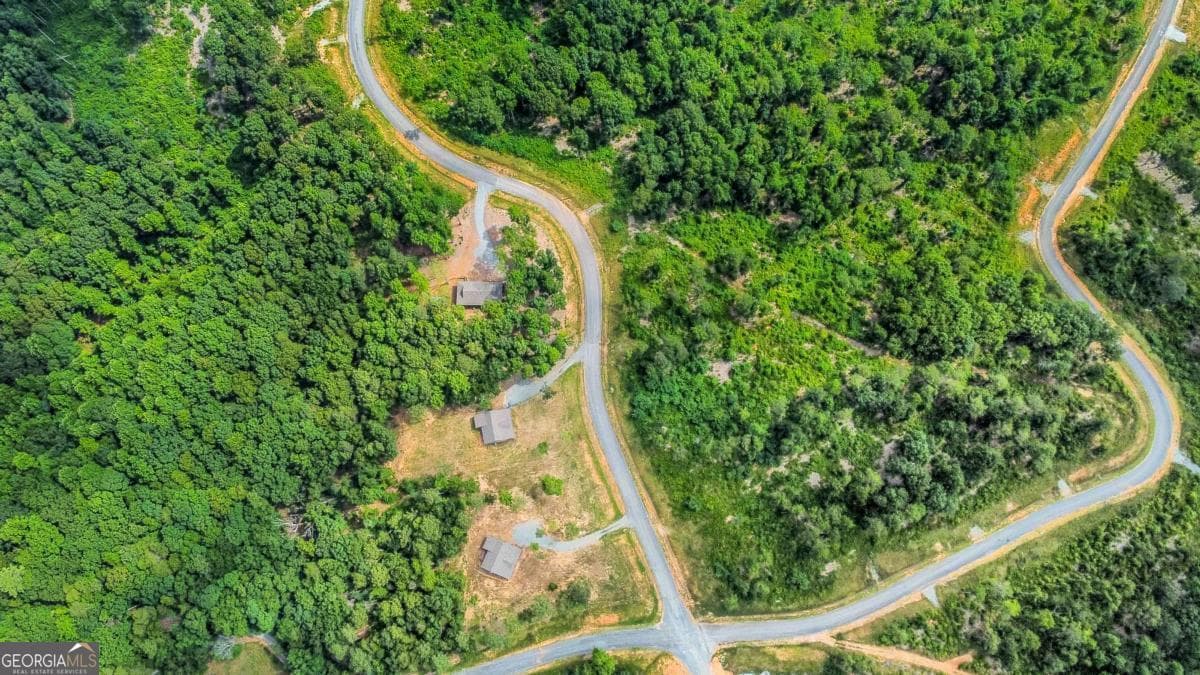 residential lot for sale at LOT 128 Twisted Oak Road, Talking Rock, GA 30175 — photo 9