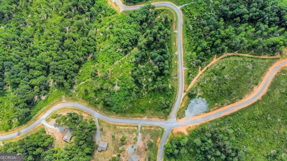 residential lot for sale at LOT 128 Twisted Oak Road, Talking Rock, GA 30175 — photo 10