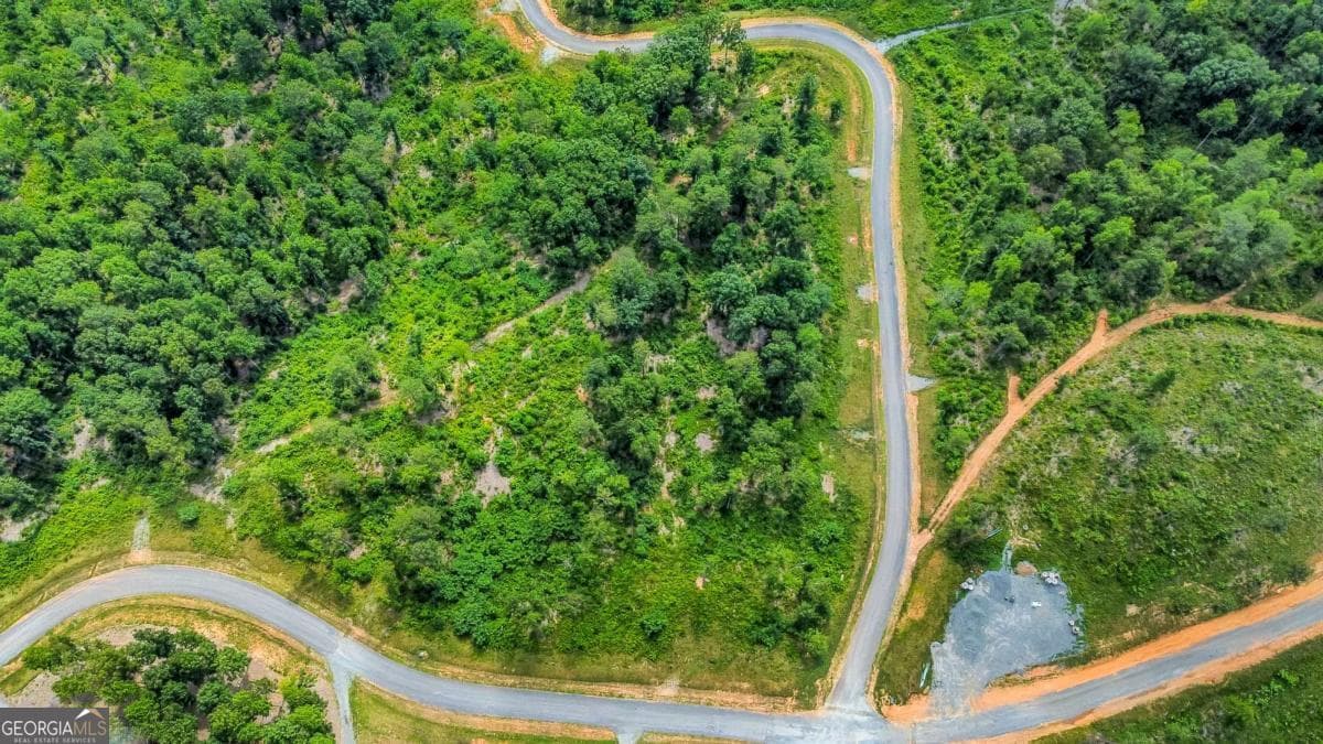 residential lot for sale at LOT 128 Twisted Oak Road, Talking Rock, GA 30175 — photo 4