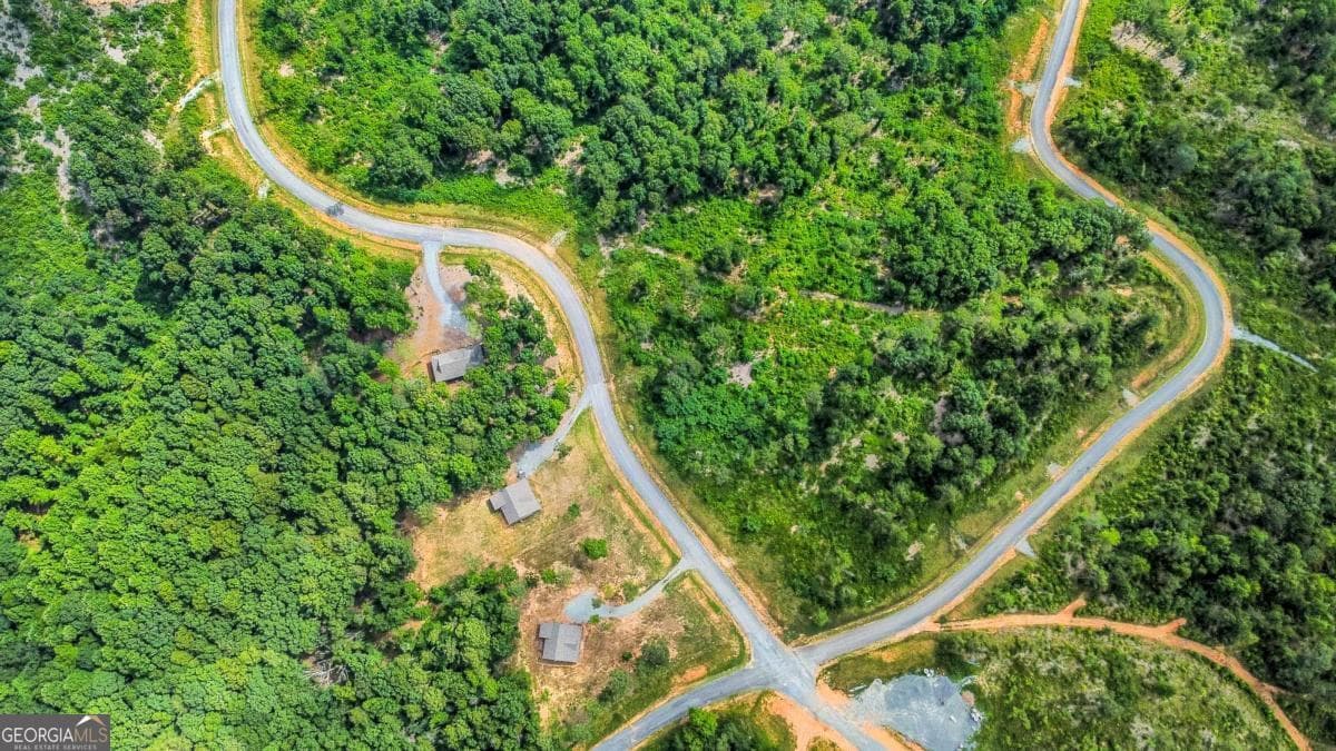 residential lot for sale at LOT 128 Twisted Oak Road, Talking Rock, GA 30175 — photo 8