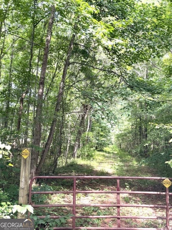 unimproved land for sale at 0 Pickett Bridge Road, Covington, GA 30016 — photo 2